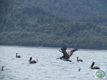 Fotos da pesca esportiva em Chaiten no Chile